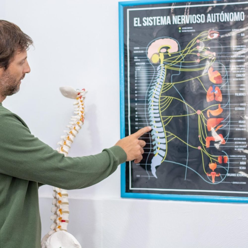 Luciano explicando el sistema nervioso con una columna de modelo